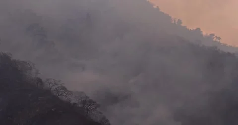 Wildfire Aftermath: Calcined Hillside, Agitated Birds, Smoke-Filled Horizon Stock Footage 241016948
