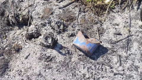 Wildfire aftermath Stock Footage 271373598