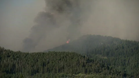 Wildfire and flames Stock Footage 877462