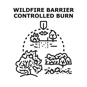 Wildfire barrier and controlled burn strategy Stock Illustration