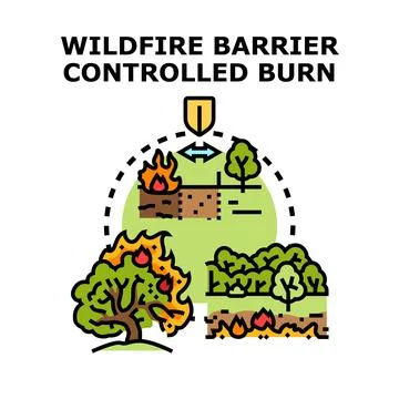 Wildfire barrier and controlled burn strategy 스톡 일러스트