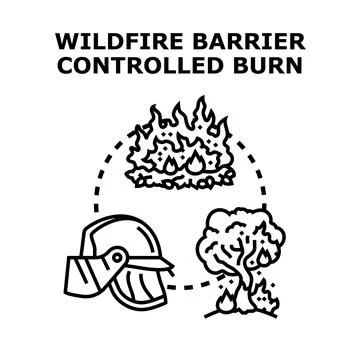 Wildfire barrier and controlled burn strategy Stock Illustration