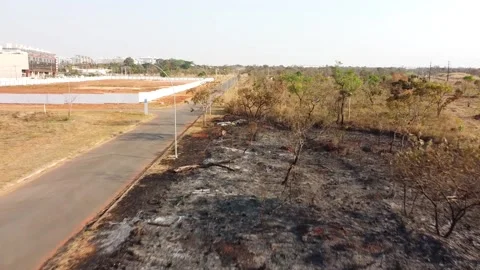 Wildfire Brasilia Stock Footage 160505415