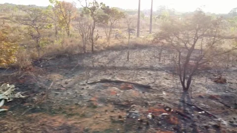 Wildfire Brasilia Video stock 160505425