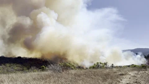 Wildfire in Brush and Grass Stock Footage 301656654