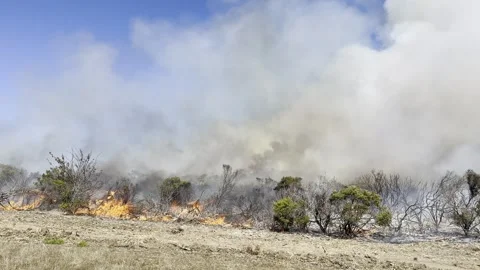 Wildfire in Brush and Grass Stock Footage 301656669