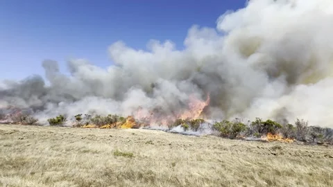 Wildfire in Brush and Grass Stock Footage 301656671