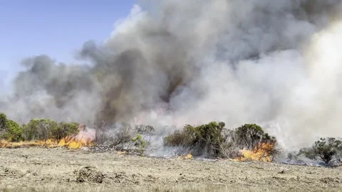 Wildfire in Brush and Grass Stock Footage 301656676