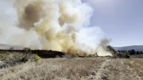 Wildfire in Brush and Grass Stock Footage 301656750