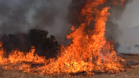 Wildfire in Brush and Grass Stock Footage 301656794