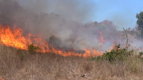 Wildfire in Brush and Grass Stock Footage 301656818
