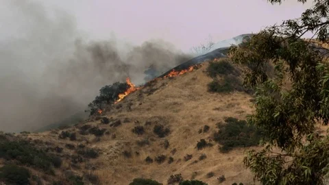 Wildfire Brush Fire 1 Video stock 83497210