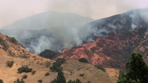 Wildfire Brush Fire 2 Pan Right Stock Footage 79652373