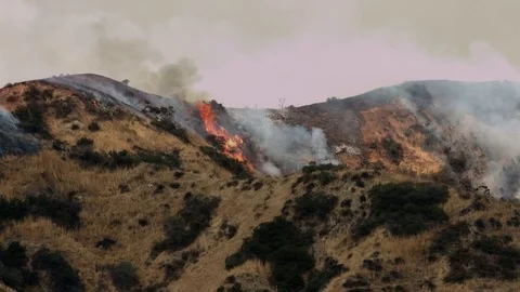 Wildfire Brush Fire 3 Stock Footage 79652953