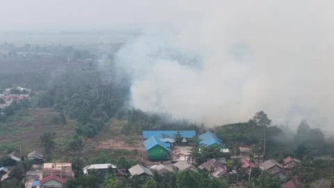 Wildfire Burning Dangerous Close to Residential Area and Primary School Vídeo Stock 346194743