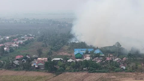 Wildfire Burning Dangerous Close to Residential Area and Primary School Stock Footage 346194744