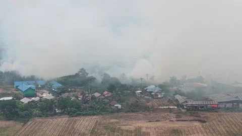 Wildfire Burning Dangerous Close to Residential Area and Primary School Stock Footage 346194772
