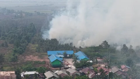 Wildfire Burning Dangerous Close to Residential Area and Primary School Stock Footage 346194773