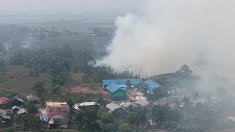 Wildfire Burning Dangerous Close to Residential Area and Primary School Stock Footage 346194804