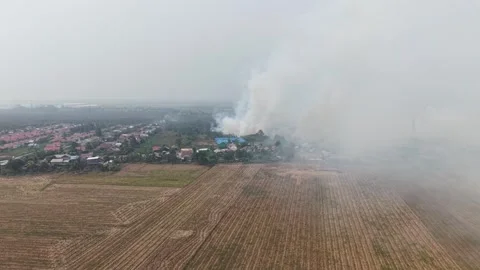Wildfire Burning Dangerous Close to Residential Area and Primary School Stock Footage 346194816