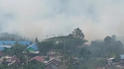 Wildfire Burning Dangerous Close to Residential Area and Primary School Stock Footage 346194833