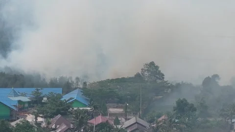 Wildfire Burning Dangerous Close to Residential Area and Primary School Stock Footage 346194845