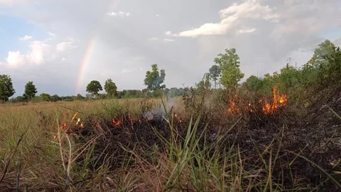 Wildfire burning dry grass field with smoke and rainbow in the background Stock-Footage 335722813