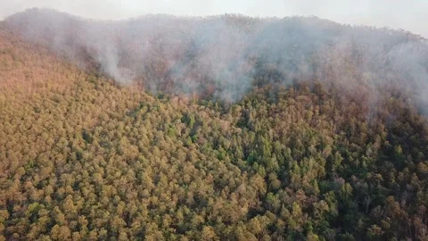 WildFire Burning Forest Aerial View Above Stock Footage 136898038