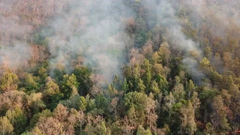WildFire Burning Forest Aerial View Above Stock Footage 136898160