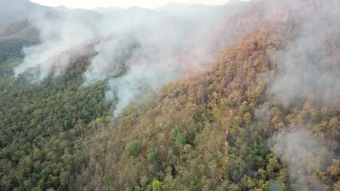 WildFire Burning Forest Aerial View Above (2 shots) Stock Footage 136898258