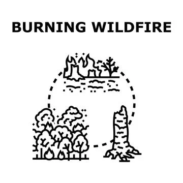 Wildfire burning forest and destroying natural habitat concept Stock Illustration