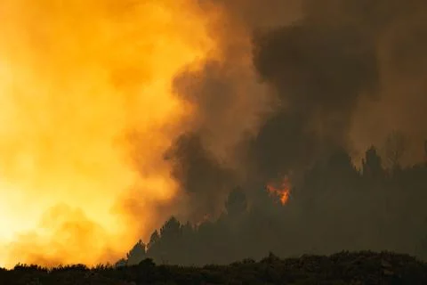 Wildfire burning forest creating smoke and glowing haze Stock Photos