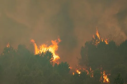 Wildfire burning forest trees causing environmental disaster in spain 写真素材