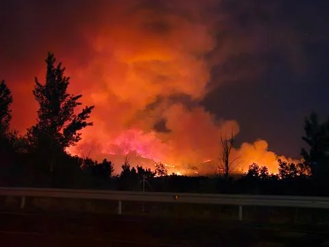 Wildfire burning intensely across a forest landscape at night Stock Photos