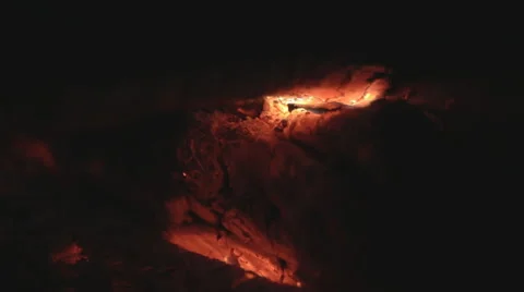 Wildfire burning pine closeup Stock Footage 55690189