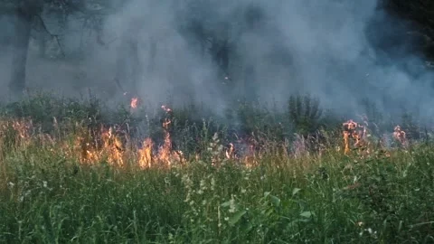Wildfire Burning Through Grassland Stock Footage 276558424