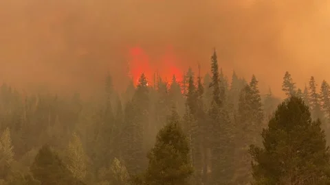 Wildfire in California Stock Footage 159984474