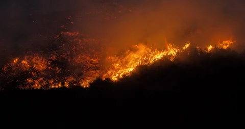 Wildfire closeup Video stock 108809241