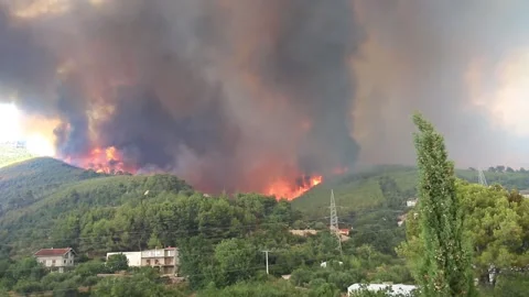 Wildfire coming to houses sequence Stock Footage 133948393