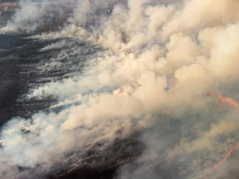Wildfire concept Stock Photos
