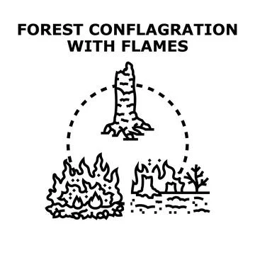 Wildfire conflagration creating environmental disaster concept Stock Illustration