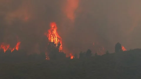 Wildfire consuming mountain ridge, spreading dense smoke Video stock 315170639