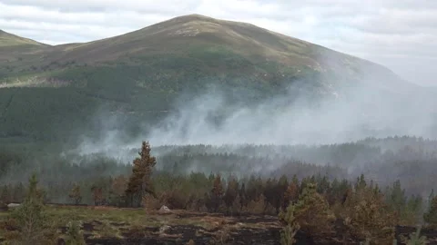 Wildfire continues to burn in Cairngorms Vídeo Stock 340203095