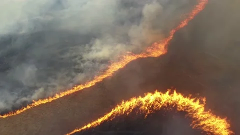 Wildfire Converging Fronts Stock Footage 180802715