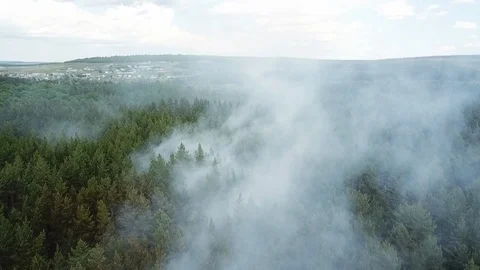 Wildfire from the copter in Russia Stock Footage 126824385