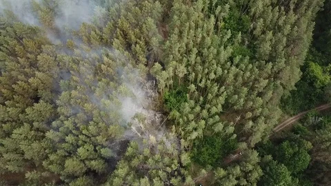 Wildfire from the copter in Russia Stock Footage 126832869