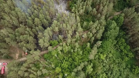 Wildfire from the copter in Russia Stock Footage 126838367
