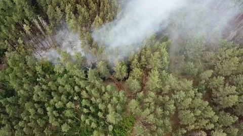 Wildfire from the copter in Russia Stock Footage 126852010