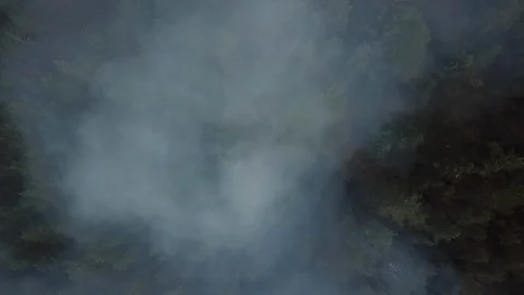 Wildfire from the copter in Russia Stock Footage 126876986