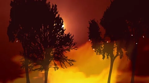 A wildfire in a dark forest with trees and a sun in the sky Video stock 170985426